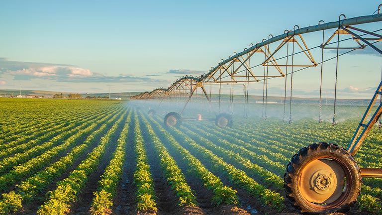 Rural and Pet Supplies